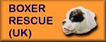 Boxer Rescue (UK) logo button