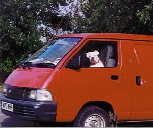 Zack and the Boxer Rescue Bus